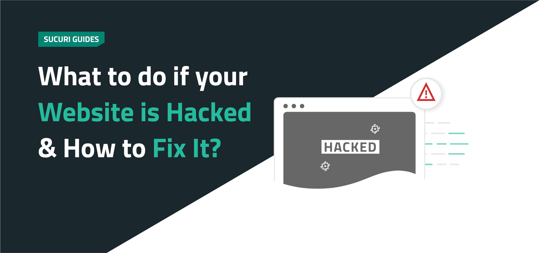 Hack Attacks Testing How to Conduct Your - Back to Home
